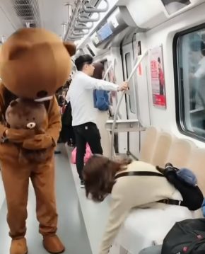 Bear brown funny moments | Tik Tok funny video